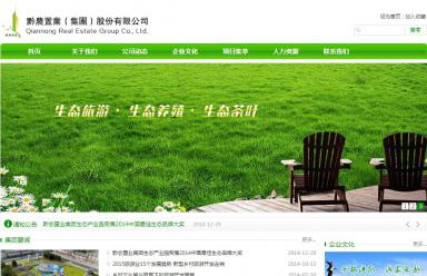 GreenService绿色简洁服务型企业网站定制